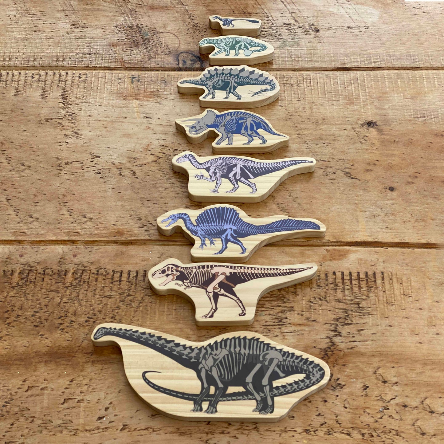 Wooden Dinosaurs with Skeletons