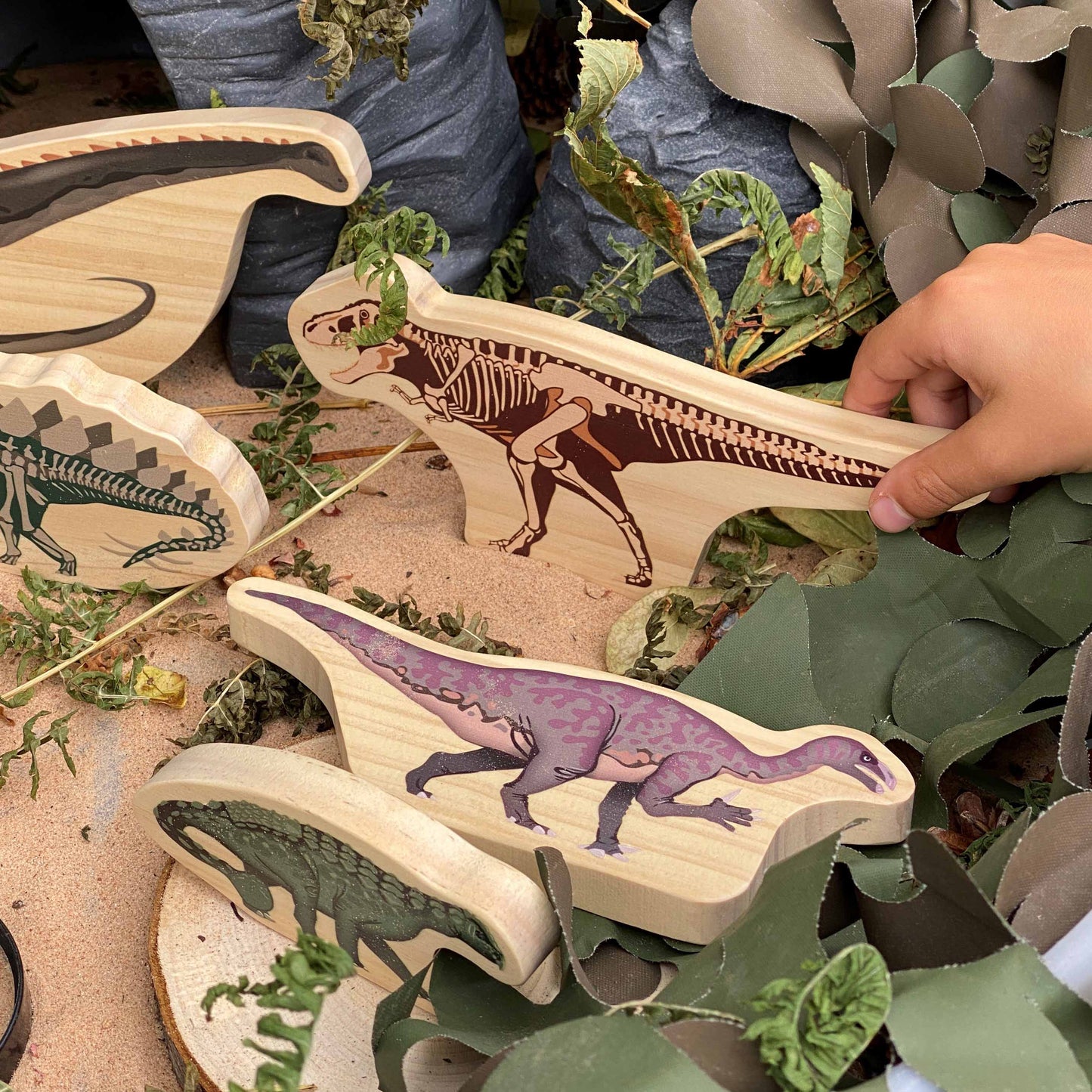 Wooden Dinosaurs with Skeletons